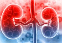 Ăn gì để thận sạch và khỏe? 10 thực phẩm tự nhiên bạn nên bổ sung mỗi ngày để cải thiện sức khỏe thận!