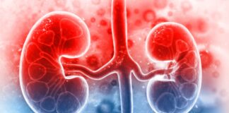 Ăn gì để thận sạch và khỏe? 10 thực phẩm tự nhiên bạn nên bổ sung mỗi ngày để cải thiện sức khỏe thận! Ăn gì để thận sạch và khỏe? 10 thực phẩm tự nhiên bạn nên bổ sung mỗi ngày để cải thiện sức khỏe thận!