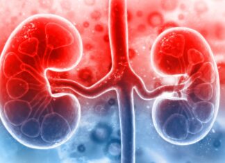 Ăn gì để thận sạch và khỏe? 10 thực phẩm tự nhiên bạn nên bổ sung mỗi ngày để cải thiện sức khỏe thận!