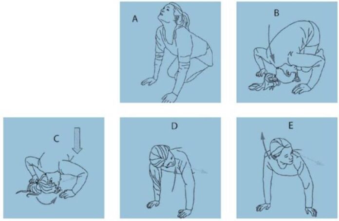 Động tác Foster (Nửa lộn nhào)