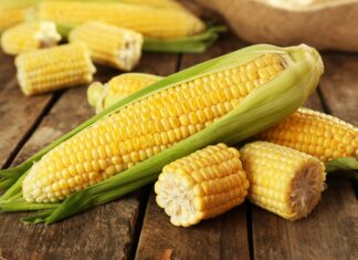 Lợi ích của ngô (bắp) đối với sức khỏe và những rủi ro tiềm ẩn cần lưu ý