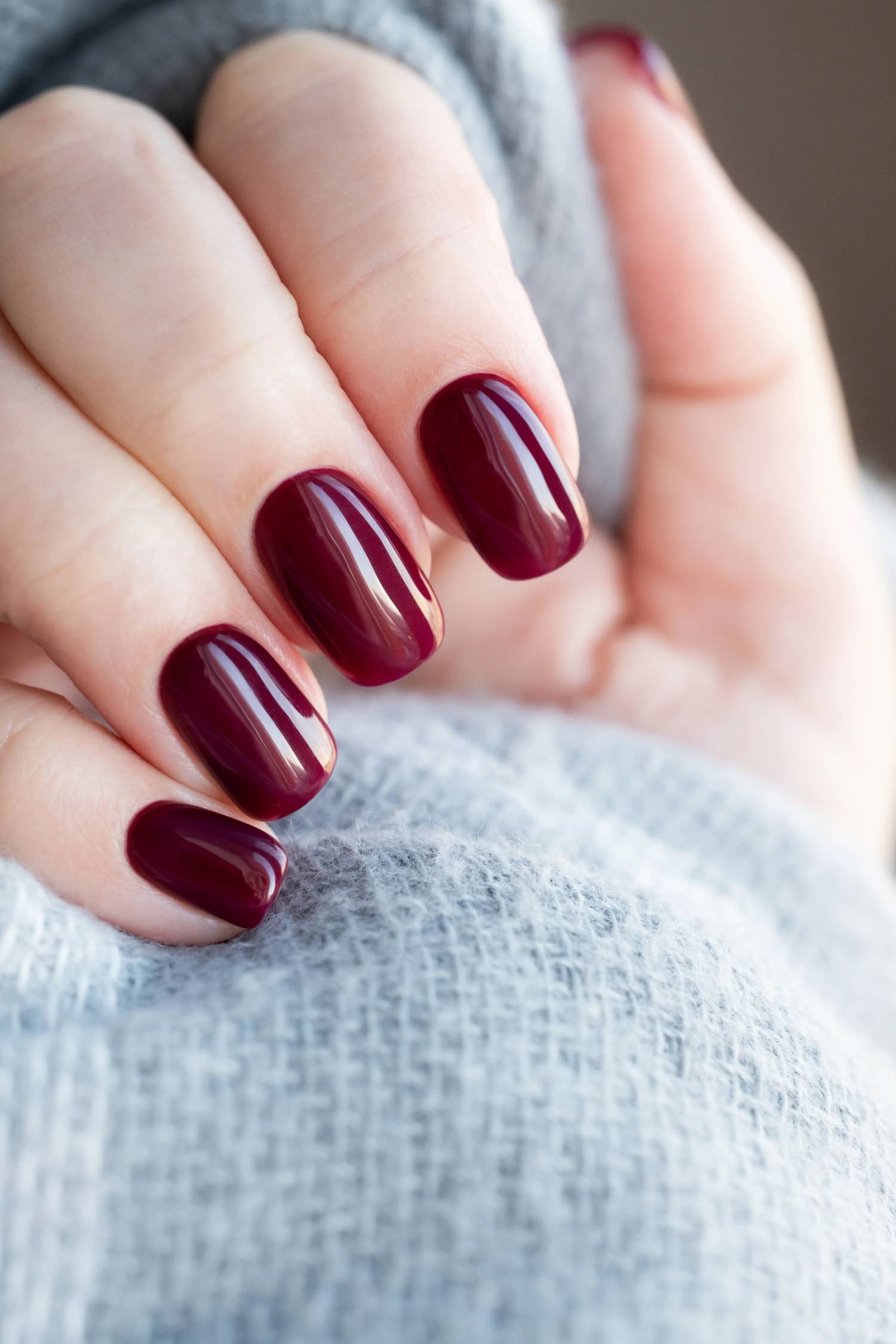 Đỏ nam việt quất đậm