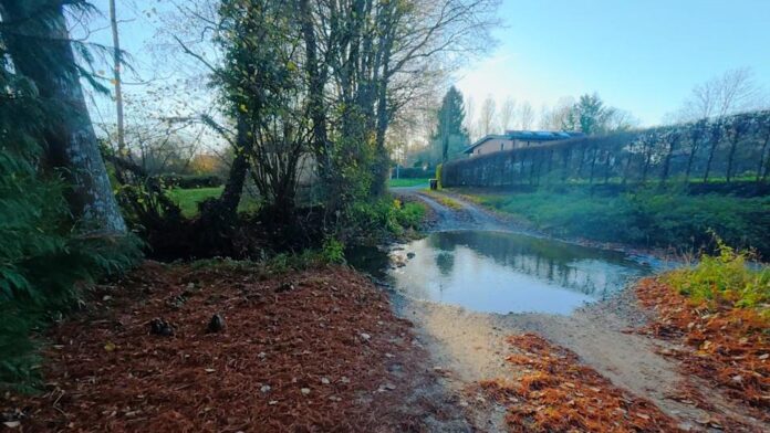 Ảnh mẫu được quay bởi DJI Osmo Action 6 (Ảnh: Internet)