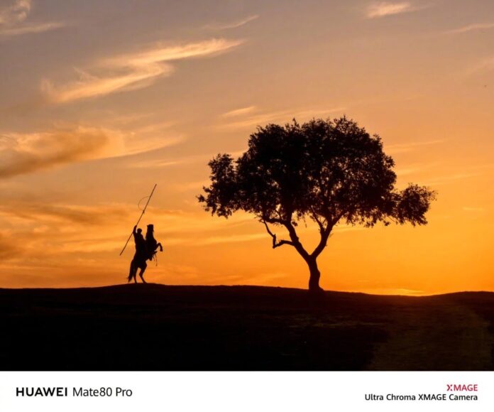 Ảnh chụp của Huawei Mate 80 Pro (Ảnh: Internet)
