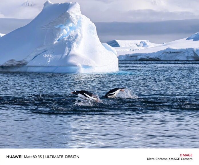 Ảnh chụp của Huawei Mate 80 RS (Ảnh: Internet)