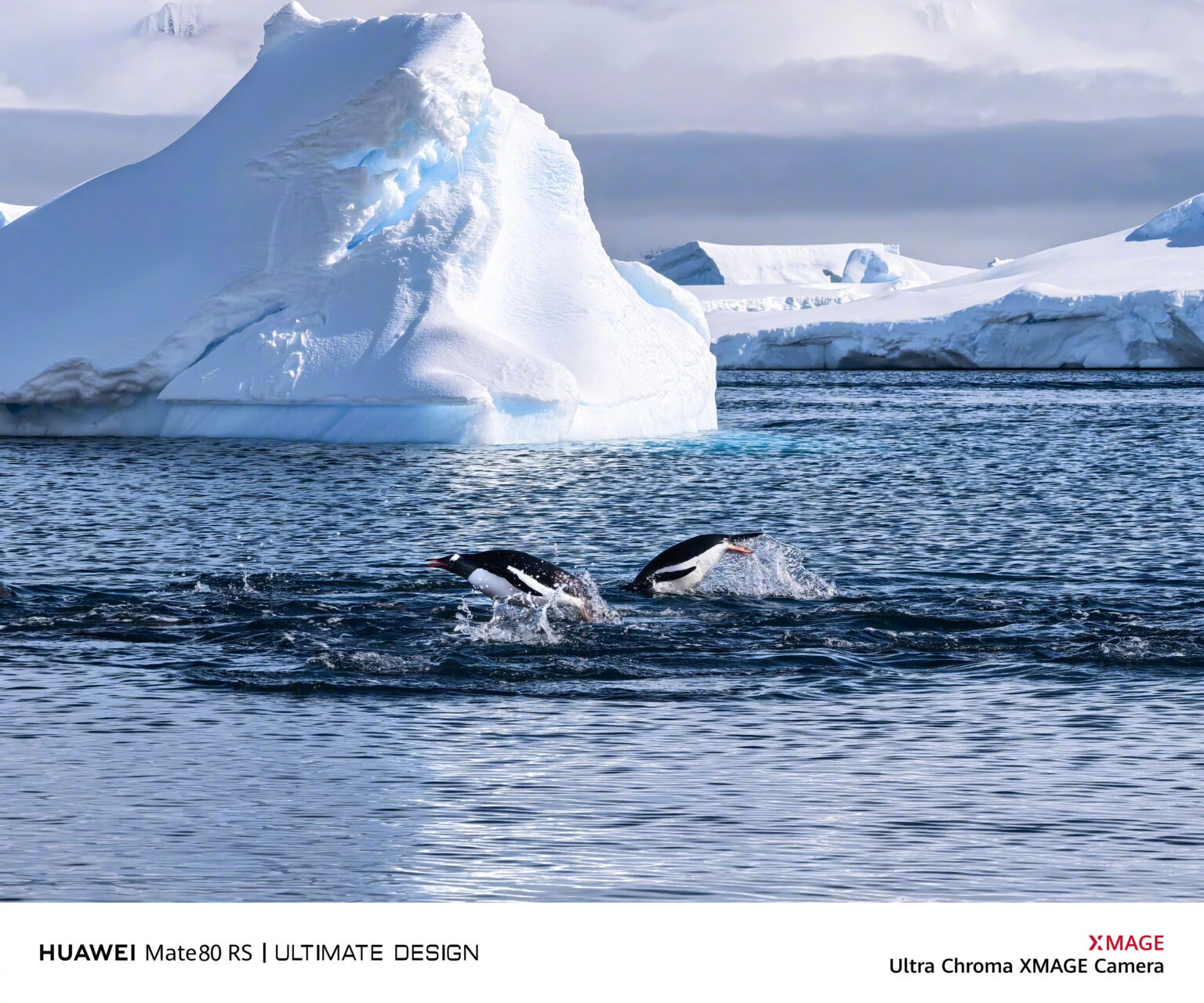 Ảnh chụp của Huawei Mate 80 RS (Ảnh: Internet)