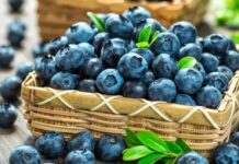 9 lợi ích nổi bật của quả việt quất: Quả nhỏ nhưng có võ! Việt quất