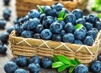 9 lợi ích nổi bật của quả việt quất: Quả nhỏ nhưng có võ! Việt quất