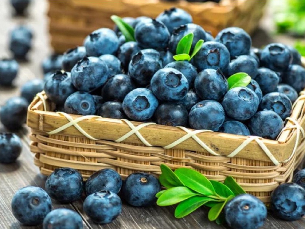 Việt quất là một trong những loại trái cây có khả năng chống oxy hóa cao nhất