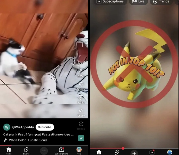 YouTube bị lỗi giao diện video Shorts không hiện nút tương tác và thông tin của kênh