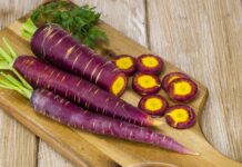 Lợi ích của cà rốt tím đối với sức khỏe