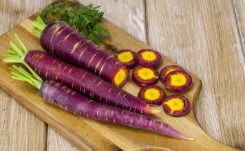Lợi ích của cà rốt tím đối với sức khỏe: Có giống cà rốt cam thường thấy? Lợi ích của cà rốt tím đối với sức khỏe