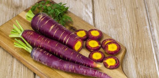 Lợi ích của cà rốt tím đối với sức khỏe: Có giống cà rốt cam thường thấy? Lợi ích của cà rốt tím đối với sức khỏe