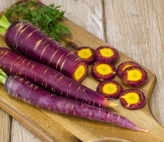 Lợi ích của cà rốt tím đối với sức khỏe: Có giống cà rốt cam thường thấy? Lợi ích của cà rốt tím đối với sức khỏe