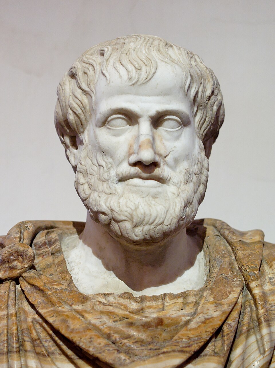 Aristotle. Nguồn: Internet