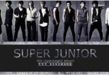 Top 15 bài hát hay nhất của nhóm Super Junior