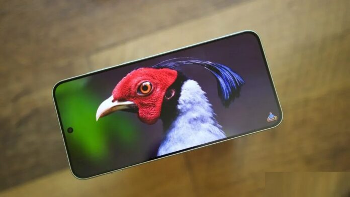 Xem video trên điện thoại OnePlus 15R (Ảnh: Internet) Xem video trên điện thoại OnePlus 15R (Ảnh: Internet)