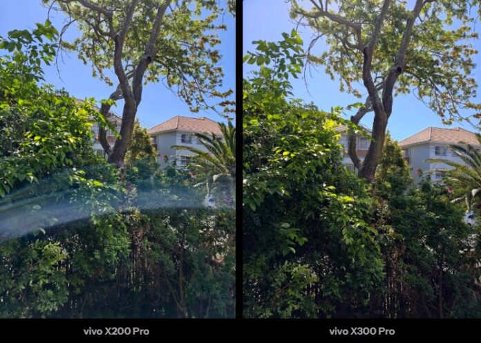 Ảnh được chụp bằng điện thoại vivo X200 Pro và vivo X300 Pro (Ảnh: Internet) Ảnh được chụp bằng điện thoại vivo X200 Pro và vivo X300 Pro (Ảnh: Internet)