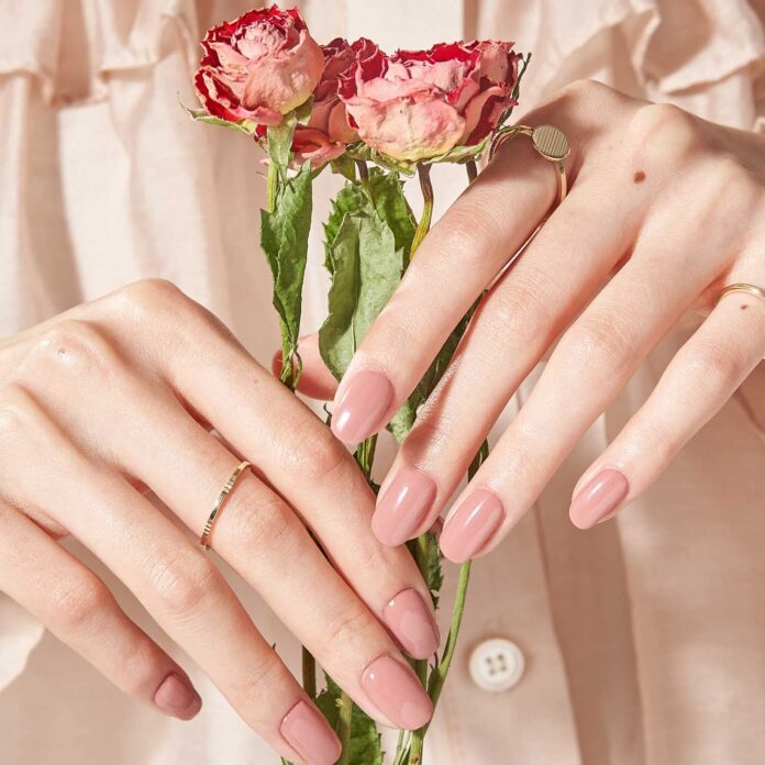 Hồng phấn nhạt