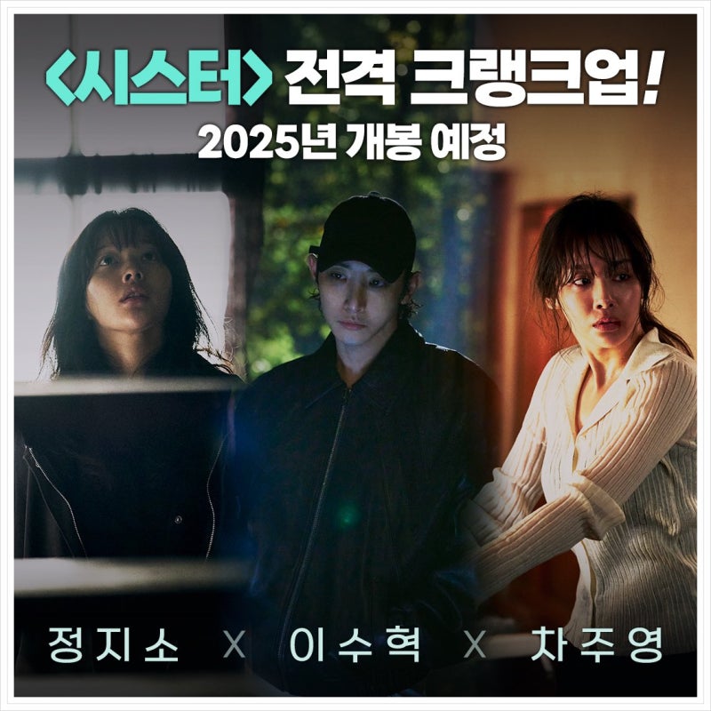 Sister là bộ phim phơi bày kế hoạch bắt cóc được xây dựng kế hoạch hoàn hảo (Ảnh: Internet)