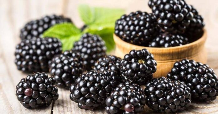 Quả mâm xôi thuộc nhóm thực phẩm ít FODMAP