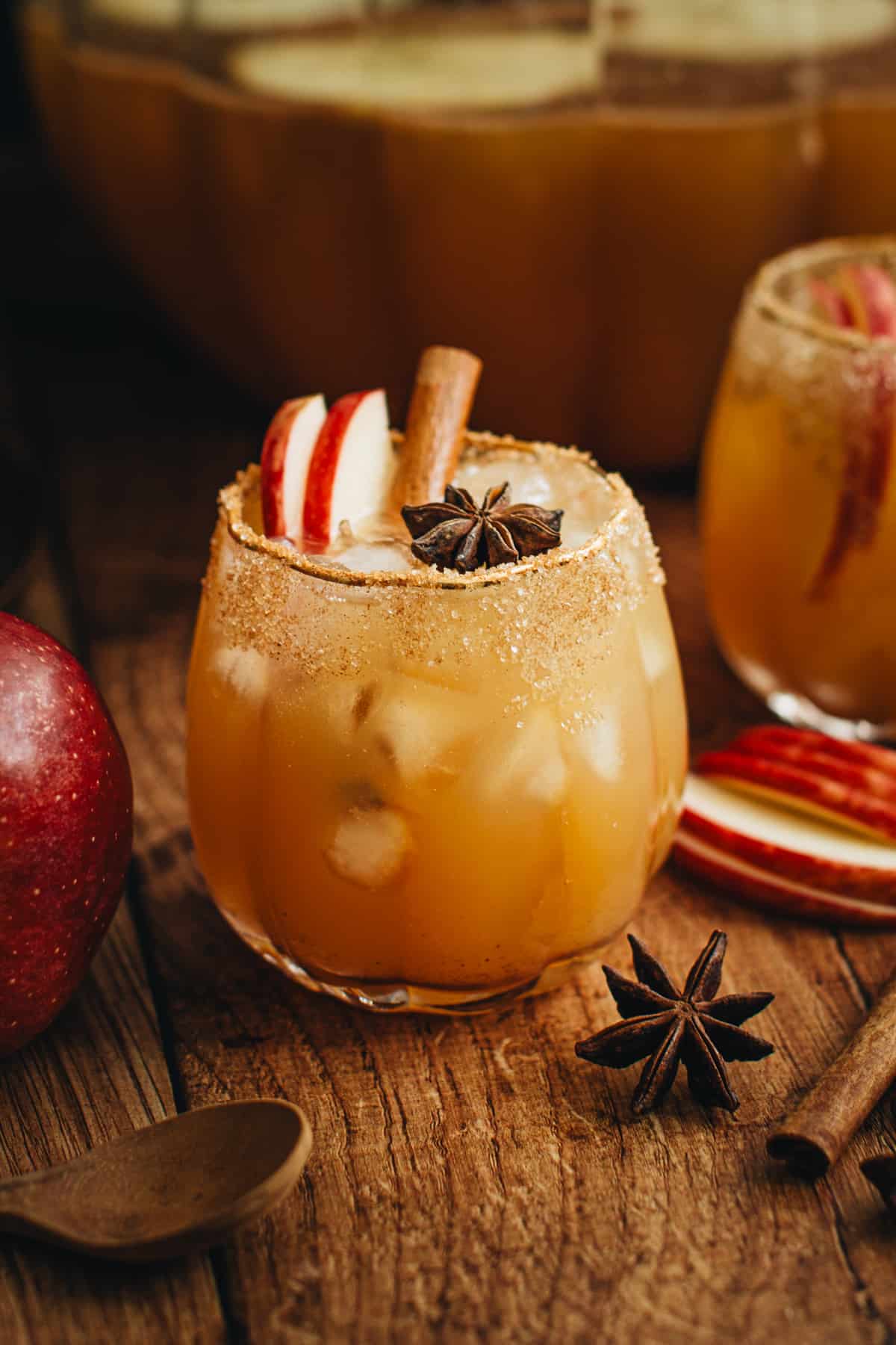 Spiced Apple Cider Punch