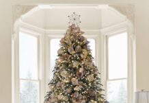 Cây thông màu champagne