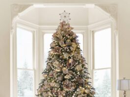 Cây thông màu champagne