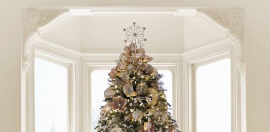 Cây thông màu champagne