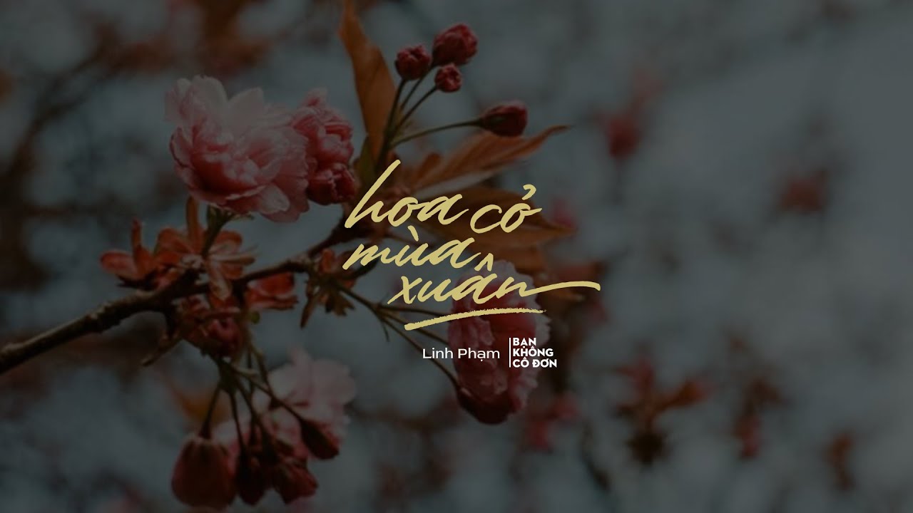 Bài hát Hoa cỏ mùa xuân. Nguồn: Internet