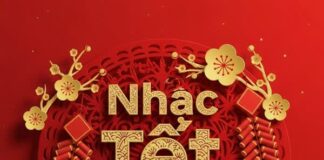 Top 15 bài hát nhạc Tết hay nhất