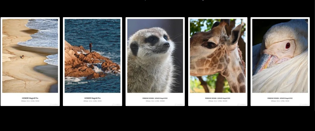 Hình ảnh được chụp bằng ống kính ngoài của HONOR (Ảnh: Internet)