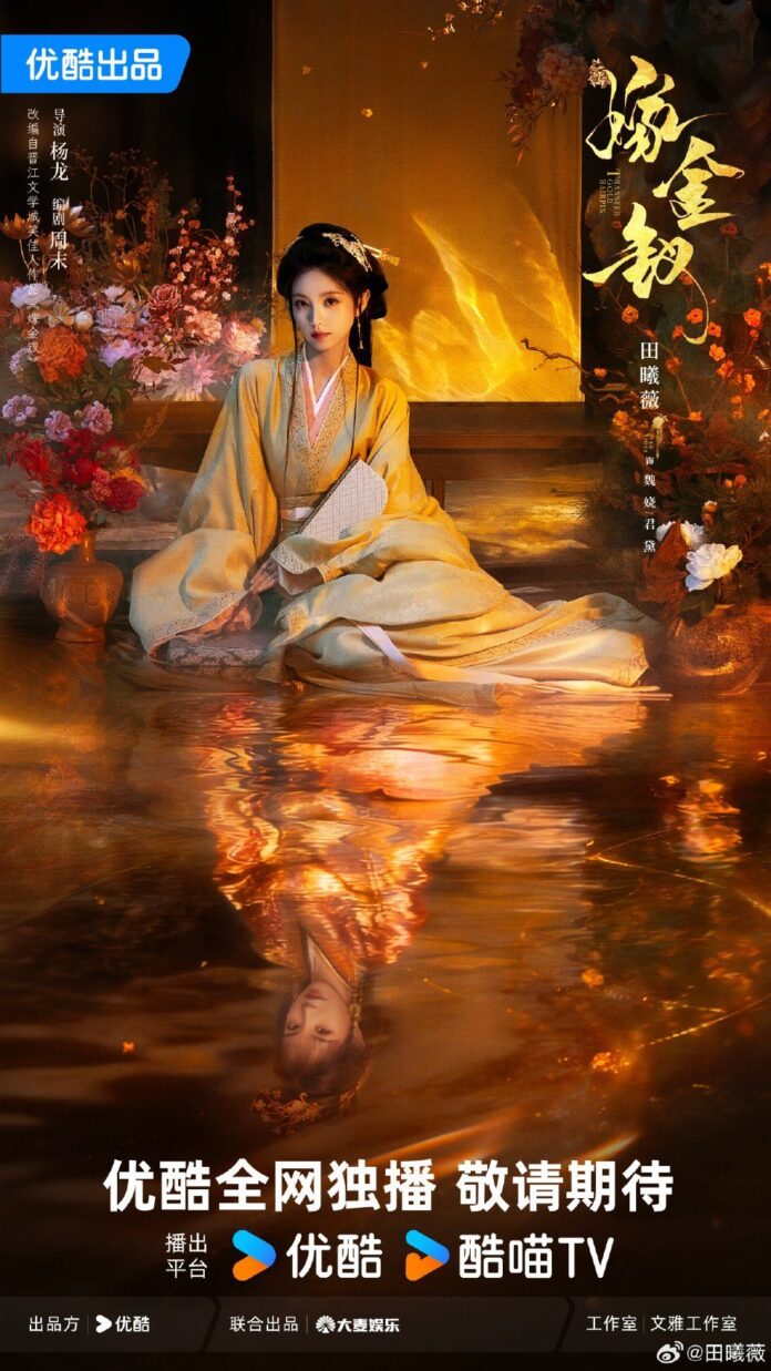 Tạo hình của Điền Hi Vi trong Giá Kim Thoa. Nguồn: Youku