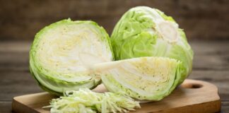 Lợi ích của việc ăn bắp cải thường xuyên