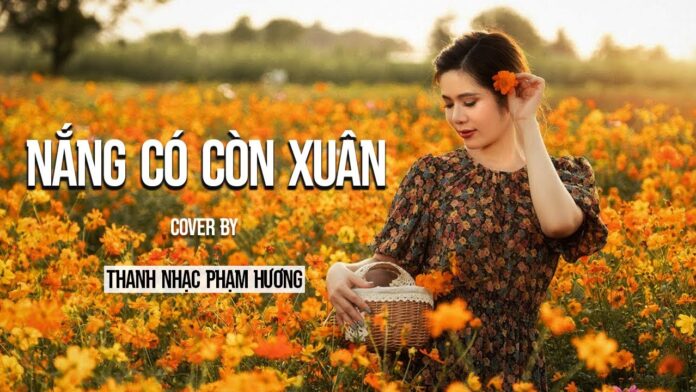 Bài hát Nắng có còn xuân. Nguồn: Internet