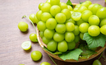 Để nho giữ được độ giòn và không bị nhũn, ngăn mát tủ lạnh mới là nơi bảo quản phù hợp nhất