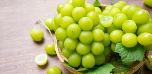 Mẹo bảo quản nho tươi lâu, giòn ngọt suốt 2 tuần đơn giản nhất Để nho giữ được độ giòn và không bị nhũn, ngăn mát tủ lạnh mới là nơi bảo quản phù hợp nhất