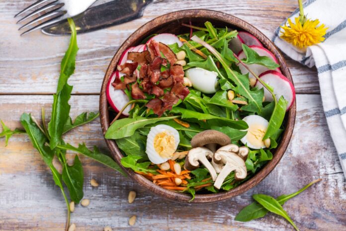 Nhiều nghiên cứu bước đầu cho thấy các hợp chất có trong bồ công anh có thể làm chậm hoặc ức chế sự phát triển của một số loại tế bào ung thư