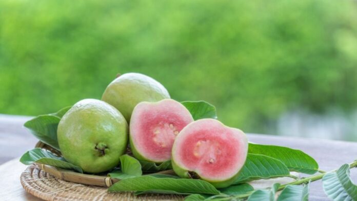 6 loại trái cây người cao tuổi nên hạn chế ăn để bảo vệ sức khỏe tốt hơn bảo vệ sức khoẻ khó tiêu người cao tuổi sức khỏe trái cây Trái cây chưa chín Trái cây có hàm lượng đường tự nhiên cao Trái cây có vỏ cứng hoặc nhiều hạt Trái cây đóng hộp trái cây sấy khô