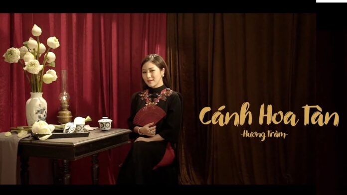 Bài hát Cánh hoa tàn. Nguồn: Internet