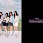 Logo album MAMIHLAPINATAPAI