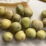 Khoai tây chuyển sang màu xanh: Có nên ăn hay cần bỏ đi? Khoai tây xanh có thể ăn được