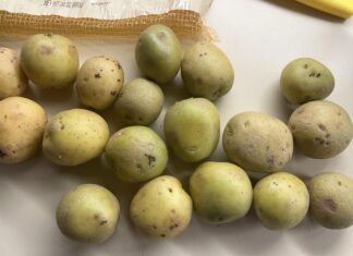 Khoai tây chuyển sang màu xanh: Có nên ăn hay cần bỏ đi? Khoai tây xanh có thể ăn được