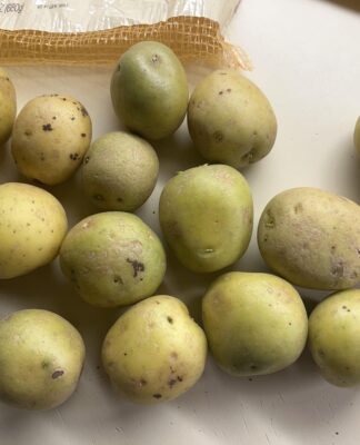 Khoai tây xanh có thể ăn được