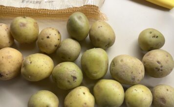 Khoai tây xanh có thể ăn được