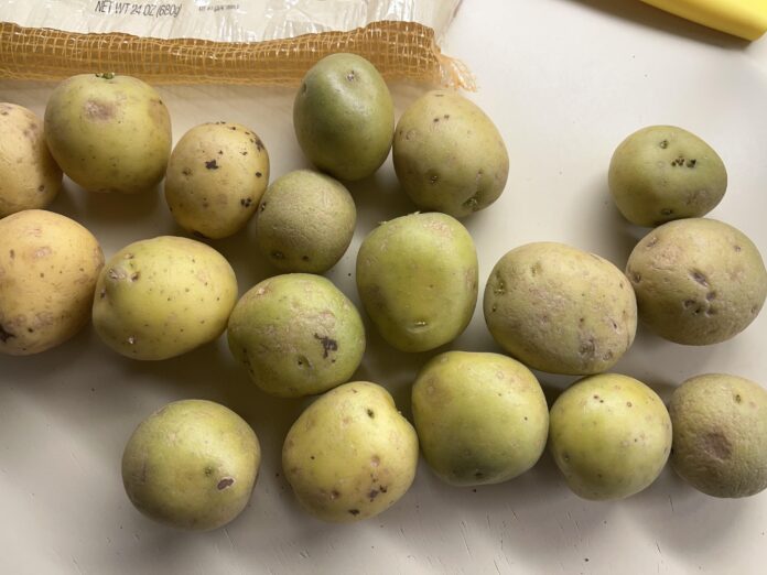 Khoai tây xanh có thể ăn được