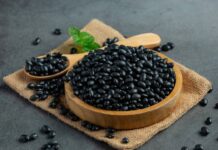 Đậu đen là nguồn protein thực vật dồi dào