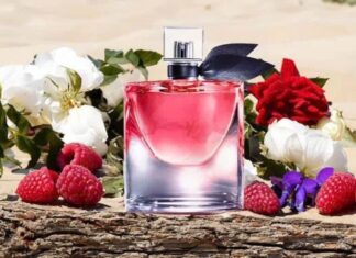 Gợi ý 7 mùi hương mùa xuân tuyệt vời trong năm 2026 Nốt hương xanh