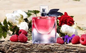 Gợi ý 7 mùi hương mùa xuân tuyệt vời trong năm 2026 Nốt hương xanh