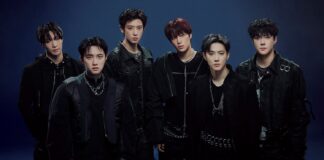 Concert của EXO tại Việt Nam chính thức “cháy vé” khi vừa mở bán (Ảnh: Internet)